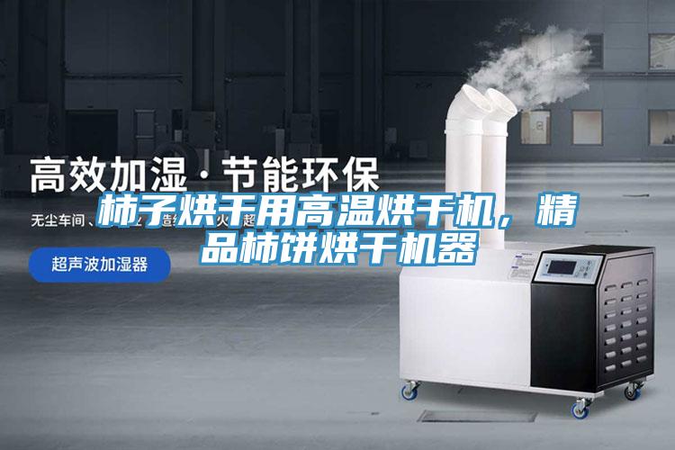 柿子烘干用高溫烘干機(jī)，精品柿餅烘干機(jī)器