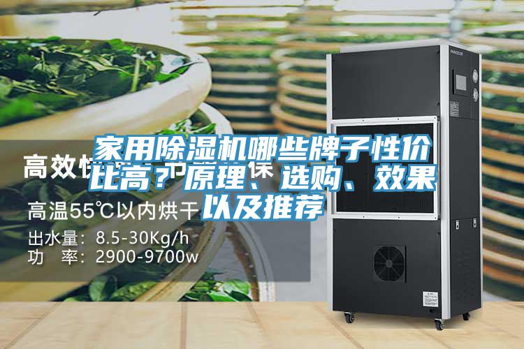 家用除濕機(jī)哪些牌子性價(jià)比高？原理、選購(gòu)、效果以及推薦