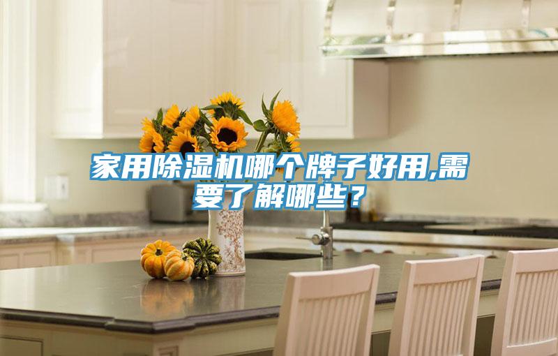 家用除濕機(jī)哪個(gè)牌子好用,需要了解哪些？