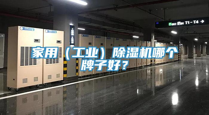 家用（工業(yè)）除濕機哪個牌子好？