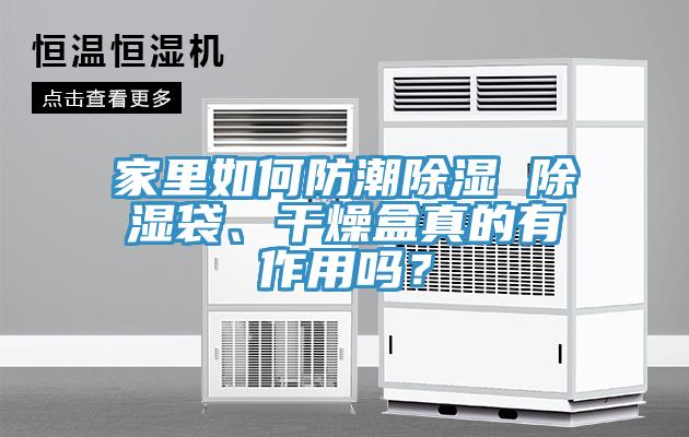 家里如何防潮除濕 除濕袋、干燥盒真的有作用嗎？