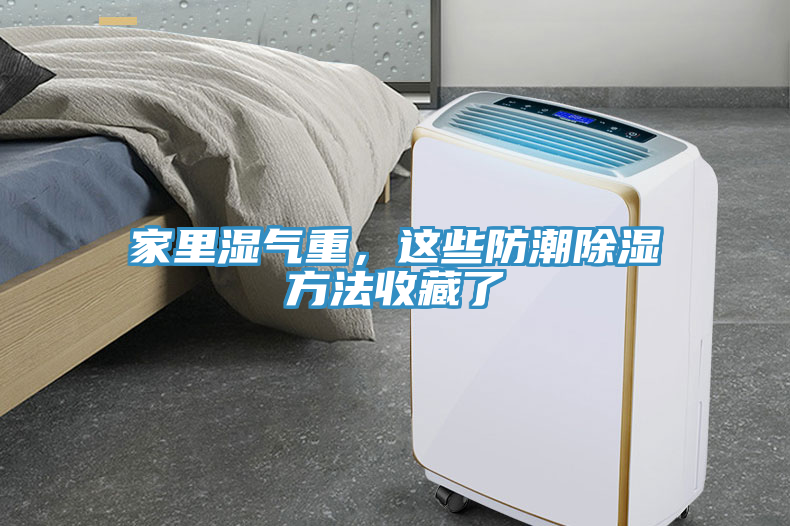家里濕氣重，這些防潮除濕方法收藏了