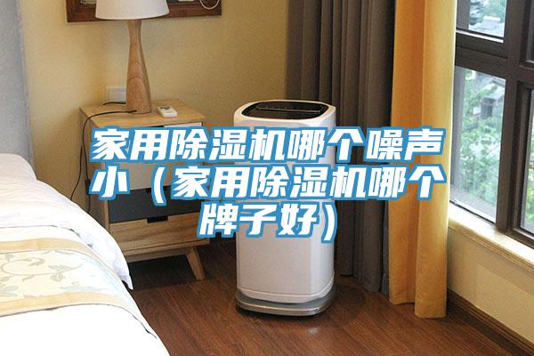 家用除濕機(jī)哪個(gè)噪聲?。矣贸凉駲C(jī)哪個(gè)牌子好）