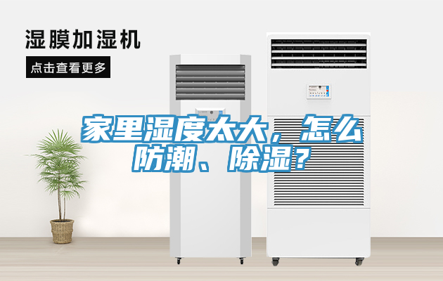 家里濕度太大，怎么防潮、除濕？