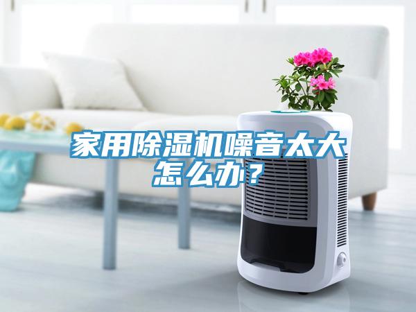 家用除濕機(jī)噪音太大怎么辦？
