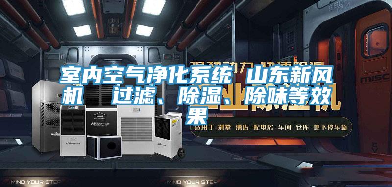 室內(nèi)空氣凈化系統(tǒng) 山東新風機  過濾、除濕、除味等效果