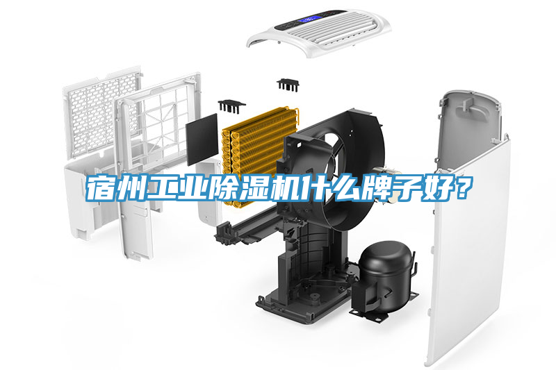 宿州工業(yè)除濕機(jī)什么牌子好？
