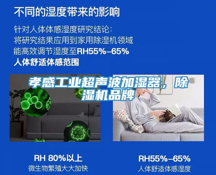 孝感工業(yè)超聲波加濕器，除濕機(jī)品牌