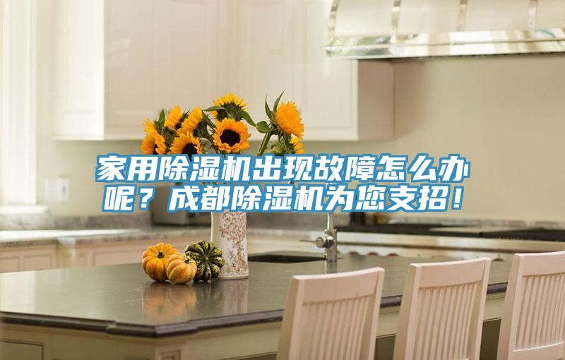 家用除濕機出現(xiàn)故障怎么辦呢？成都除濕機為您支招！