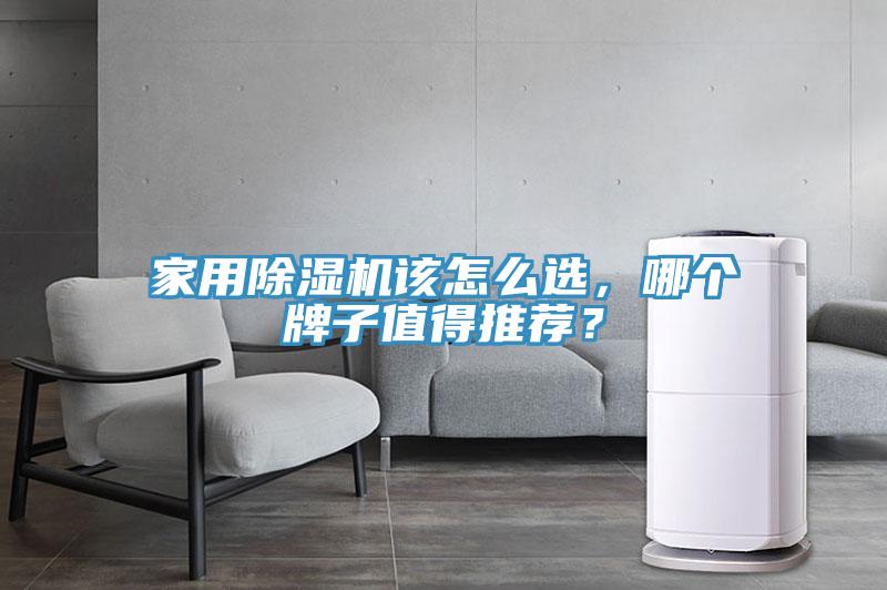 家用除濕機(jī)該怎么選，哪個(gè)牌子值得推薦？