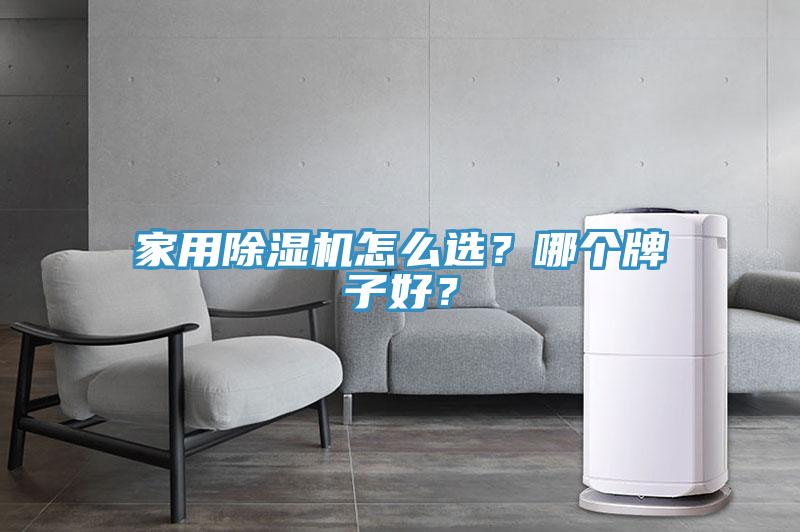 家用除濕機(jī)怎么選？哪個牌子好？