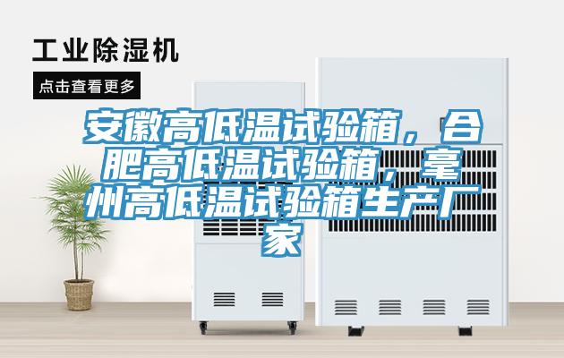 安徽高低溫試驗(yàn)箱，合肥高低溫試驗(yàn)箱，毫州高低溫試驗(yàn)箱生產(chǎn)廠家