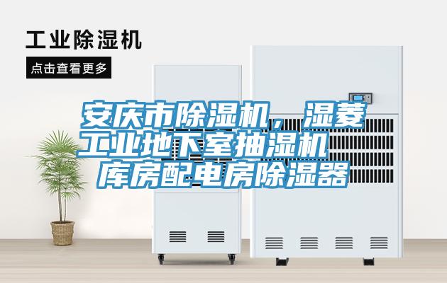 安慶市除濕機，濕菱工業(yè)地下室抽濕機  庫房配電房除濕器