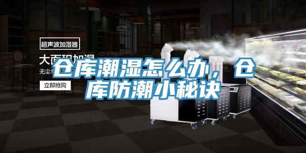 倉庫潮濕怎么辦，倉庫防潮小秘訣