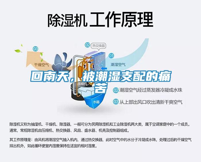 回南天，被潮濕支配的痛苦
