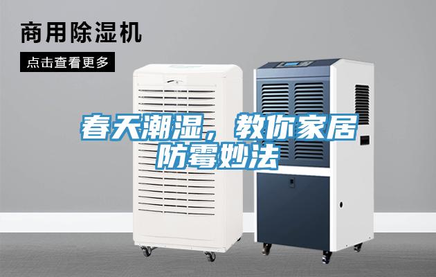 春天潮濕，教你家居防霉妙法