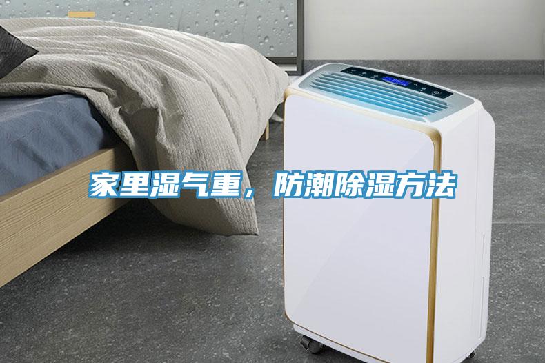 家里濕氣重，防潮除濕方法