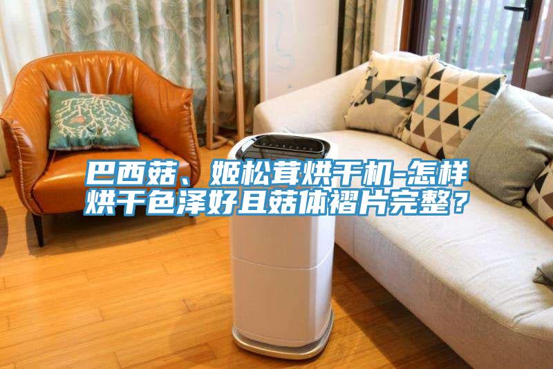 巴西菇、姬松茸烘干機(jī)-怎樣烘干色澤好且菇體褶片完整？