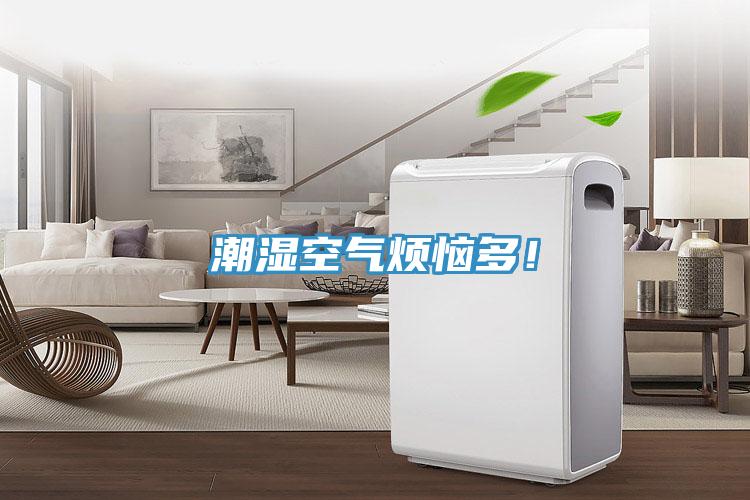 潮濕空氣煩惱多！