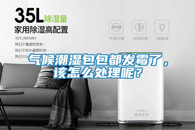 氣候潮濕包包都發(fā)霉了，該怎么處理呢？