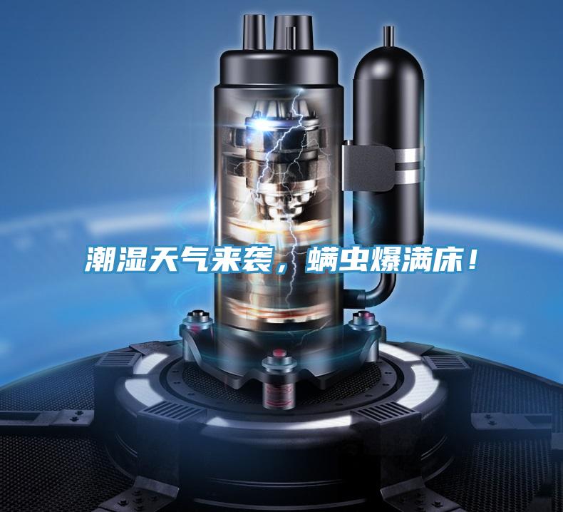 潮濕天氣來襲，螨蟲爆滿床！