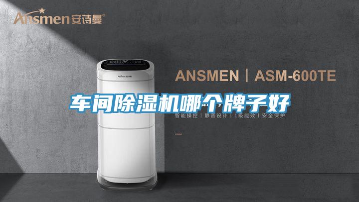 車(chē)間除濕機(jī)哪個(gè)牌子好