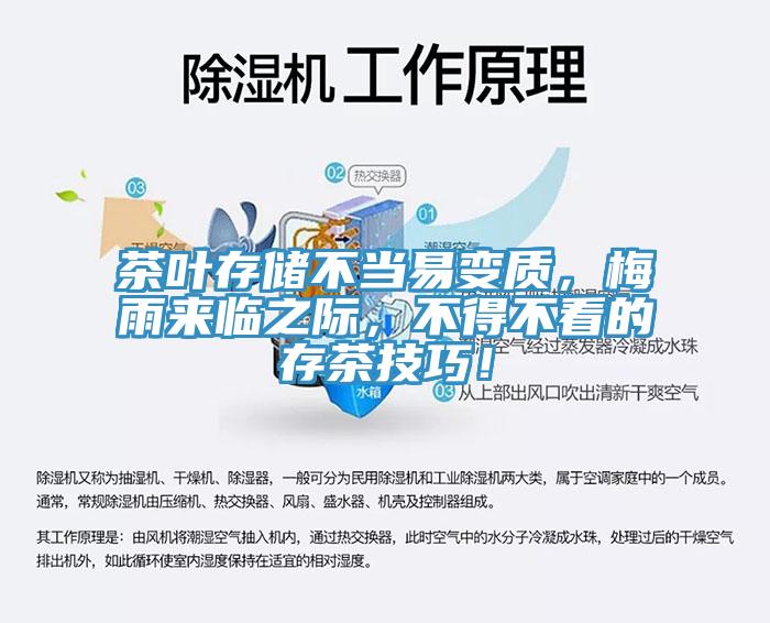 茶葉存儲不當易變質(zhì)，梅雨來臨之際，不得不看的存茶技巧！