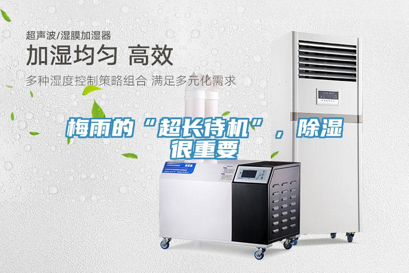 梅雨的“超長待機”，除濕很重要