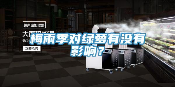 梅雨季對(duì)綠蘿有沒有影響？