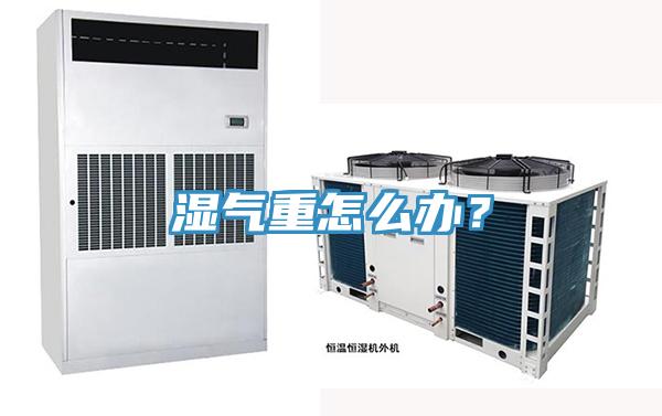 濕氣重怎么辦？