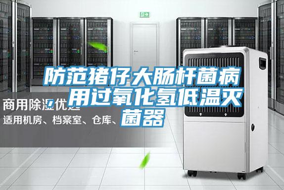 防范豬仔大腸桿菌病，用過氧化氫低溫滅菌器