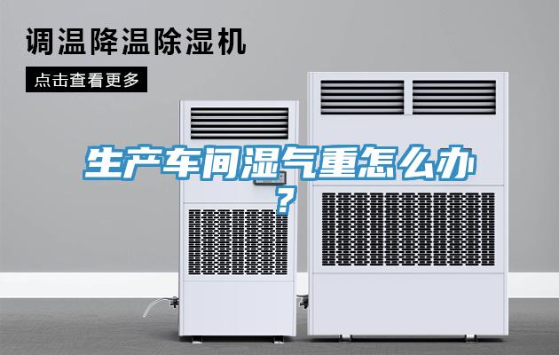 生產(chǎn)車間濕氣重怎么辦？