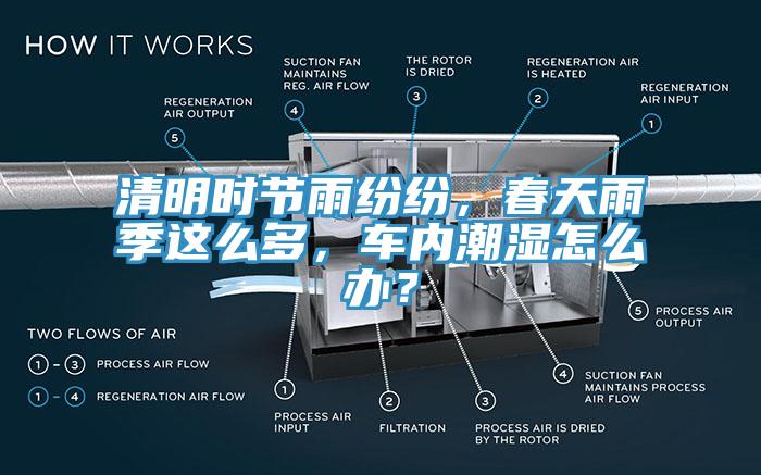 清明時(shí)節(jié)雨紛紛，春天雨季這么多，車內(nèi)潮濕怎么辦？