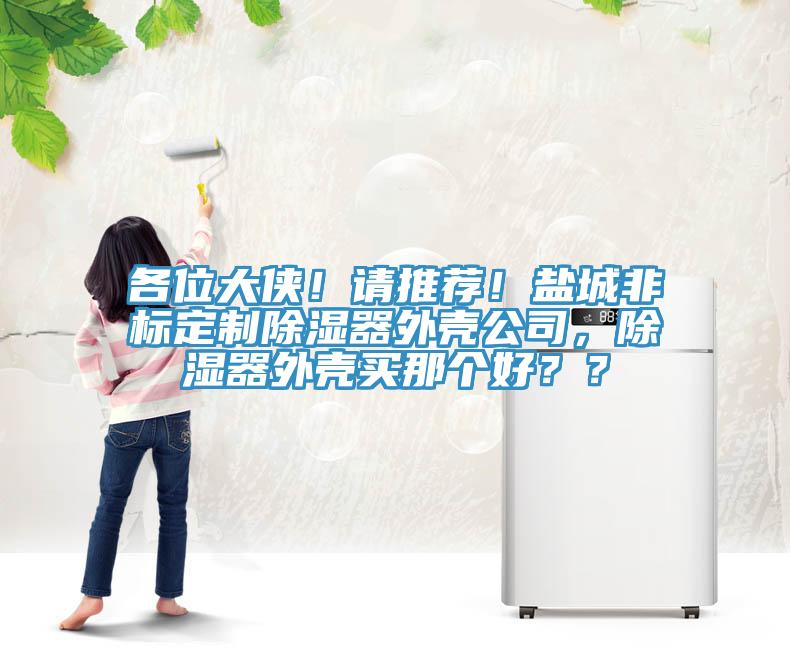 各位大俠！請(qǐng)推薦！鹽城非標(biāo)定制除濕器外殼公司，除濕器外殼買那個(gè)好？？