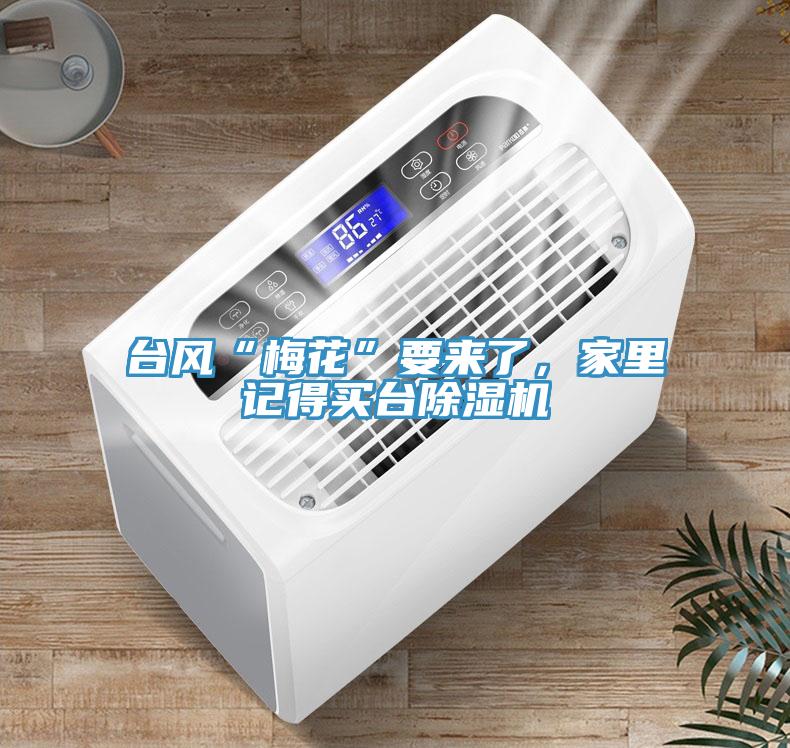 臺(tái)風(fēng)“梅花”要來(lái)了，家里記得買(mǎi)臺(tái)除濕機(jī)