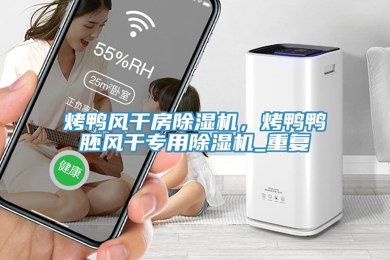 烤鴨風(fēng)干房除濕機(jī)，烤鴨鴨胚風(fēng)干專用除濕機(jī)_重復(fù)