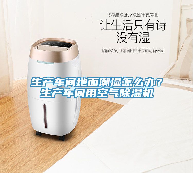 生產(chǎn)車間地面潮濕怎么辦？生產(chǎn)車間用空氣除濕機(jī)