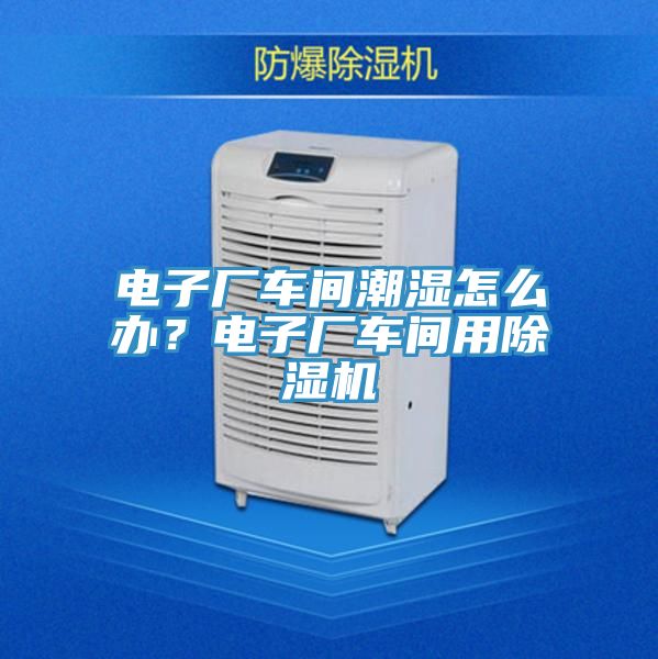 電子廠車間潮濕怎么辦？電子廠車間用除濕機