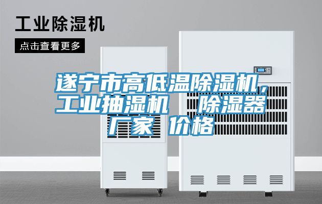 遂寧市高低溫除濕機，工業(yè)抽濕機  除濕器廠家 價格