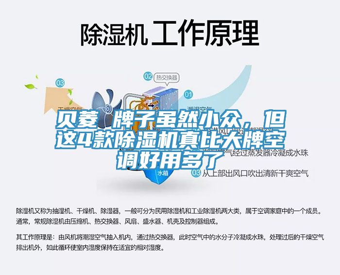 貝菱 牌子雖然小眾，但這4款除濕機(jī)真比大牌空調(diào)好用多了