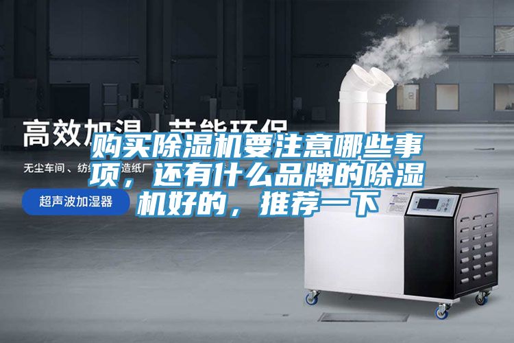 購買除濕機(jī)要注意哪些事項(xiàng)，還有什么品牌的除濕機(jī)好的，推薦一下