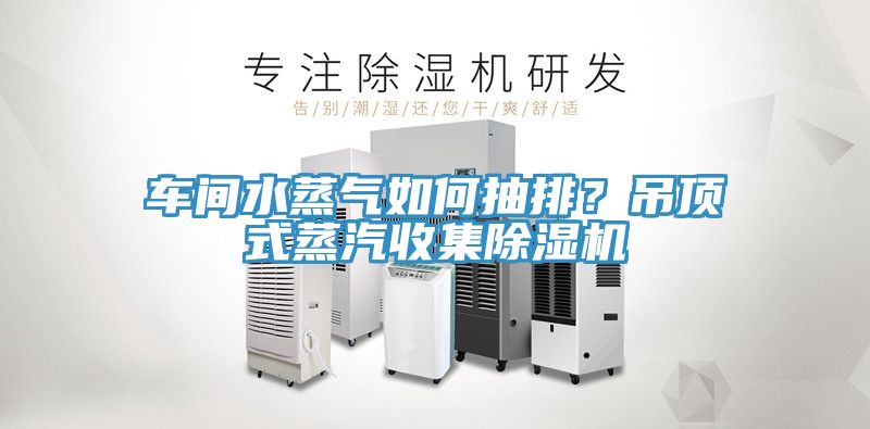 車間水蒸氣如何抽排？吊頂式蒸汽收集除濕機