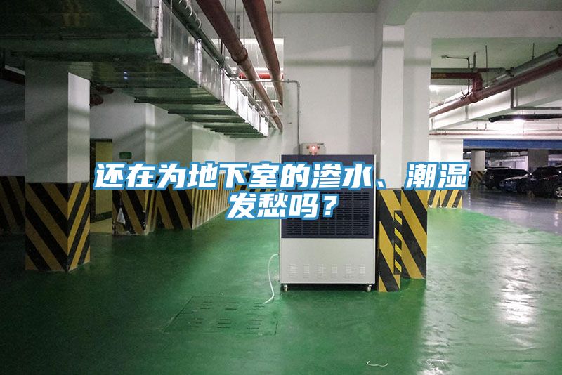 還在為地下室的滲水、潮濕發(fā)愁嗎？