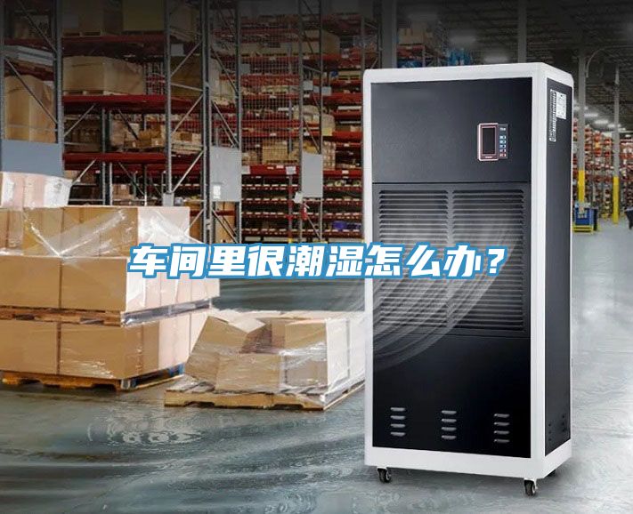 車間里很潮濕怎么辦？