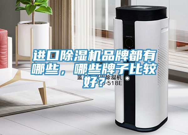 進(jìn)口除濕機(jī)品牌都有哪些，哪些牌子比較好？