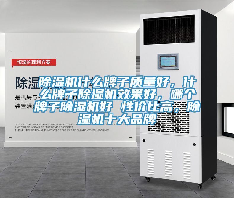 除濕機(jī)什么牌子質(zhì)量好，什么牌子除濕機(jī)效果好，哪個(gè)牌子除濕機(jī)好 性價(jià)比高，除濕機(jī)十大品牌