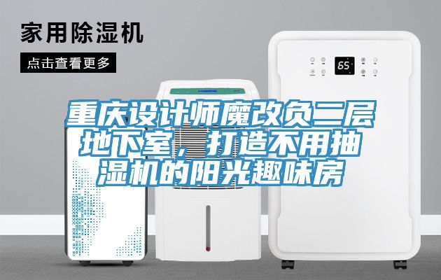 重慶設(shè)計(jì)師魔改負(fù)二層地下室，打造不用抽濕機(jī)的陽光趣味房