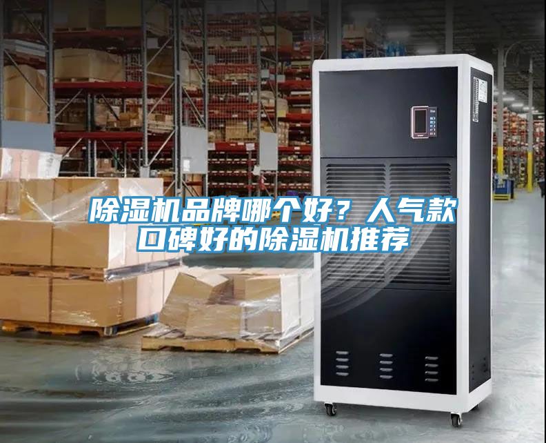 除濕機(jī)品牌哪個好？人氣款口碑好的除濕機(jī)推薦